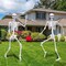 5.4Ft Halloween Life Size Skeleton,2PCS Posable Skeleton Full Body Size Realistic Human Bones with Movable Joints for Indoor Outdoor Halloween Decoration (Grey)